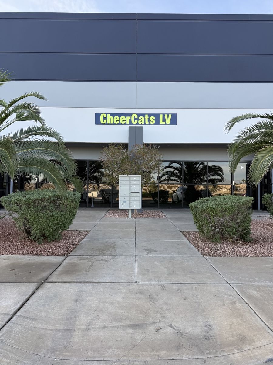Storefront of the finished CheerCats LV tenant improvement with signage, palm trees and landscaped walkway, Henderson NV